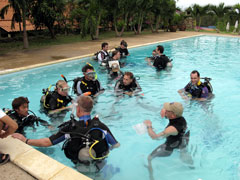 Sail and Dive Adventures - Dr. Theodor Yemenis PADI IE Thailand 2008