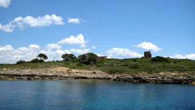 Mallorca 2008 - SKS - Segeln und Tauchen - Dr. Theodor Yemenis