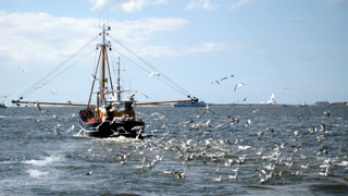 SKS Holland - Dr. Theodor Yemenis - Segeln und Tauchen