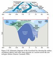 Currents in the Greenland Sea