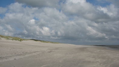 Wattenmeer (Waddenzee, Wadden Sea) - Segeln und Tauchen, Dr. Theodor Yemenis